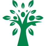 বিভিন্ন ধরনের ফুলের চারা