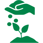 জৈব সার ও কীটনাশক